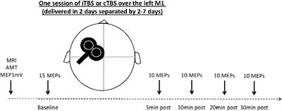 Impaired Modulation of Corticospinal Excitability in <mark class="highlighted">Drug-Free</mark> Patients With Major Depressive Disorder: A Theta-Burst Stimulation Study